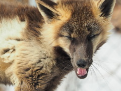 まぶしいわ(笑)