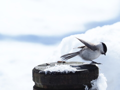 ブレーキ落ちる！