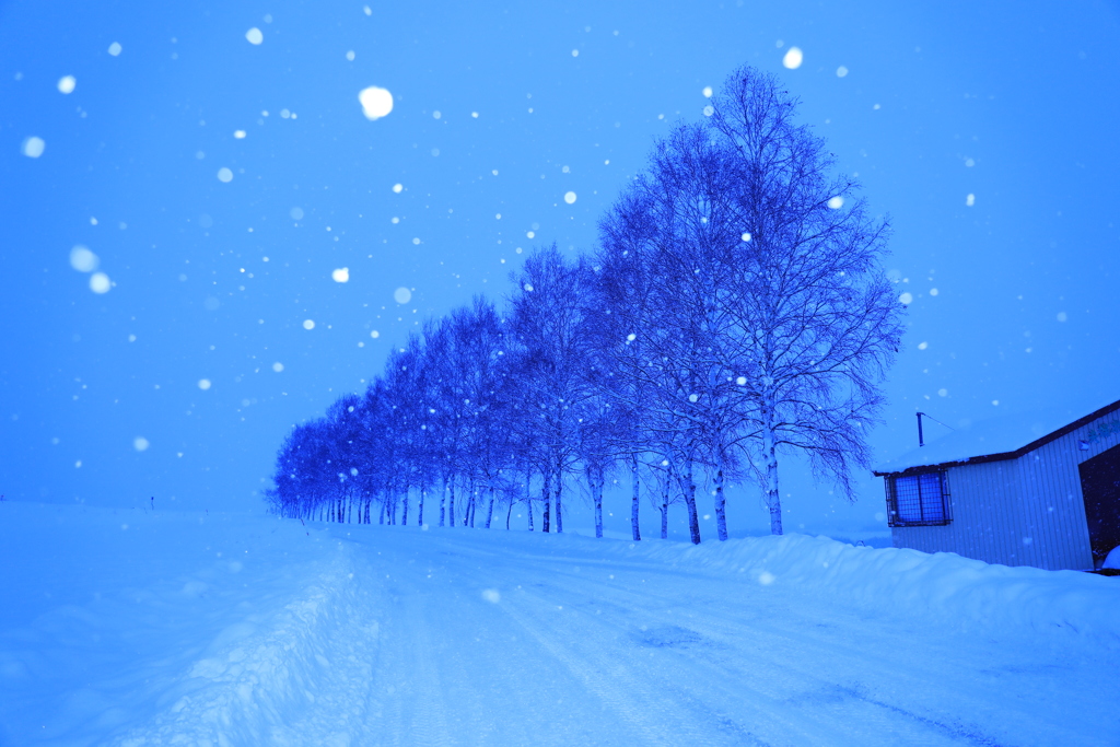 セブン並木ん玉