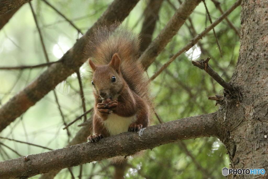 20160921003028_IMG_7365