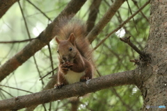 20160921003028_IMG_7365