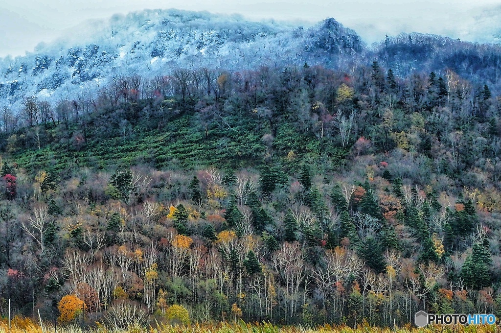銀世界が目の前にやって来る。