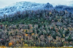 銀世界が目の前にやって来る。