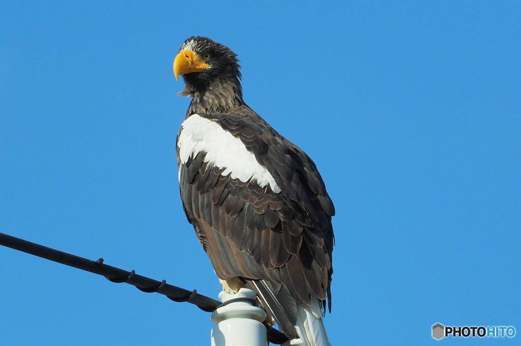 オホーツク楽しみです。