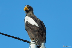 オホーツク楽しみです。