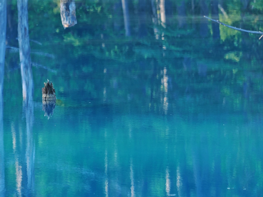 青い池