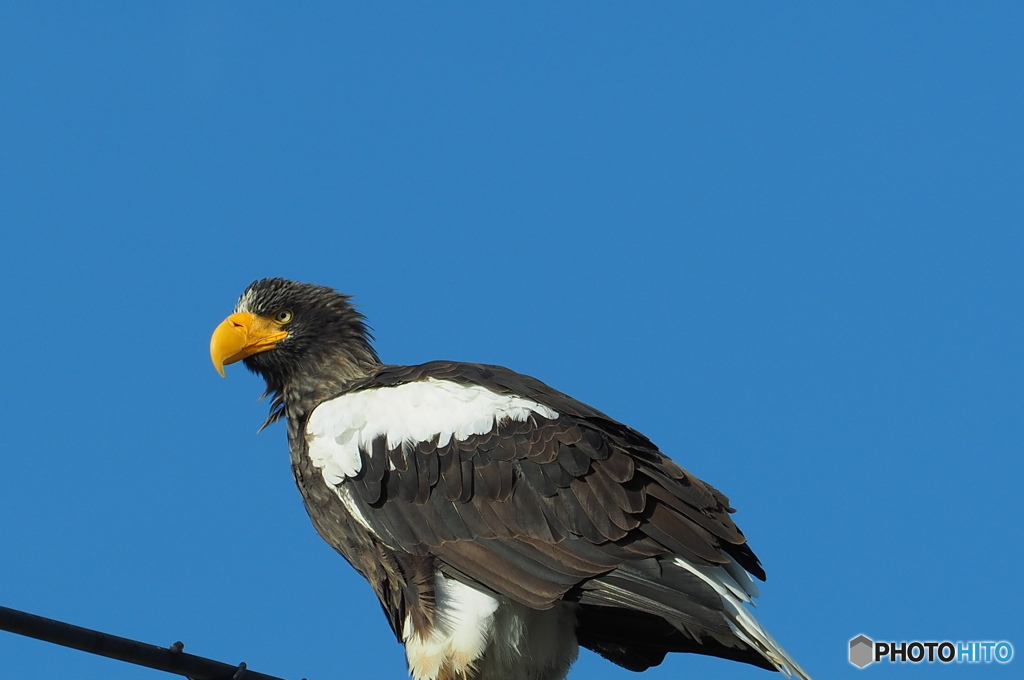 一番会いたい奴に会えました。