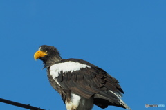 一番会いたい奴に会えました。