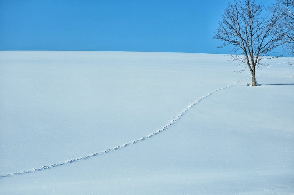 ホワイト&ブルー