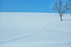 ホワイト&ブルー