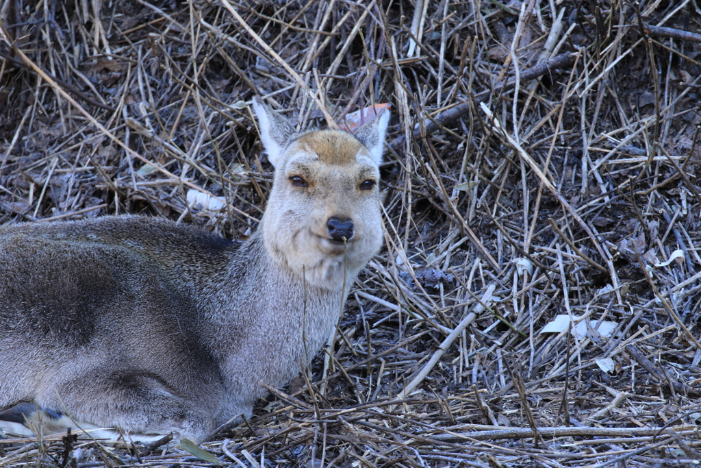 国道沿いでこの表情 (笑)
