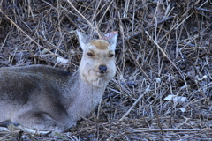 国道沿いでこの表情 (笑)