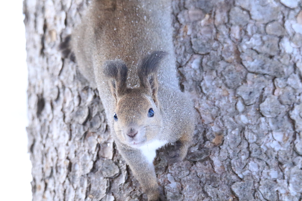 いい顔してるね！
