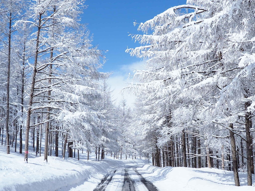北海道の冬も終わりに