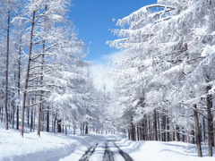 北海道の冬も終わりに