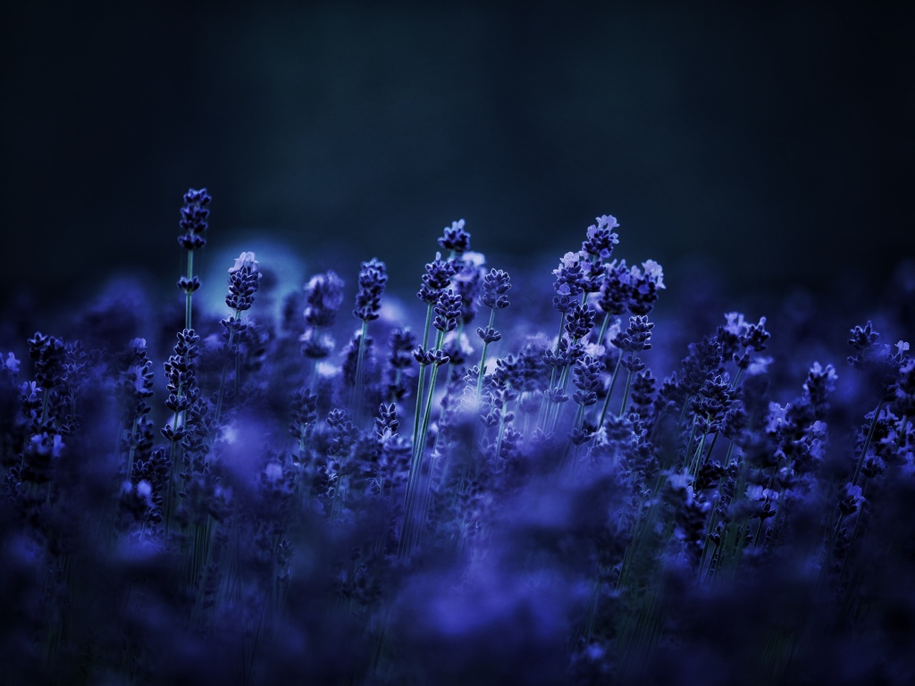 朝の静けさ 誰もいない 心やすらぐ