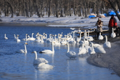 この場所は 砂湯で湖面も多少暖かいです。氷点下20度では 露天風呂みたいなもの。