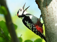 ツツくの疲れた！