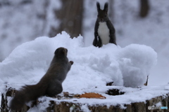 何してるの？ うわ！ビックリ❗