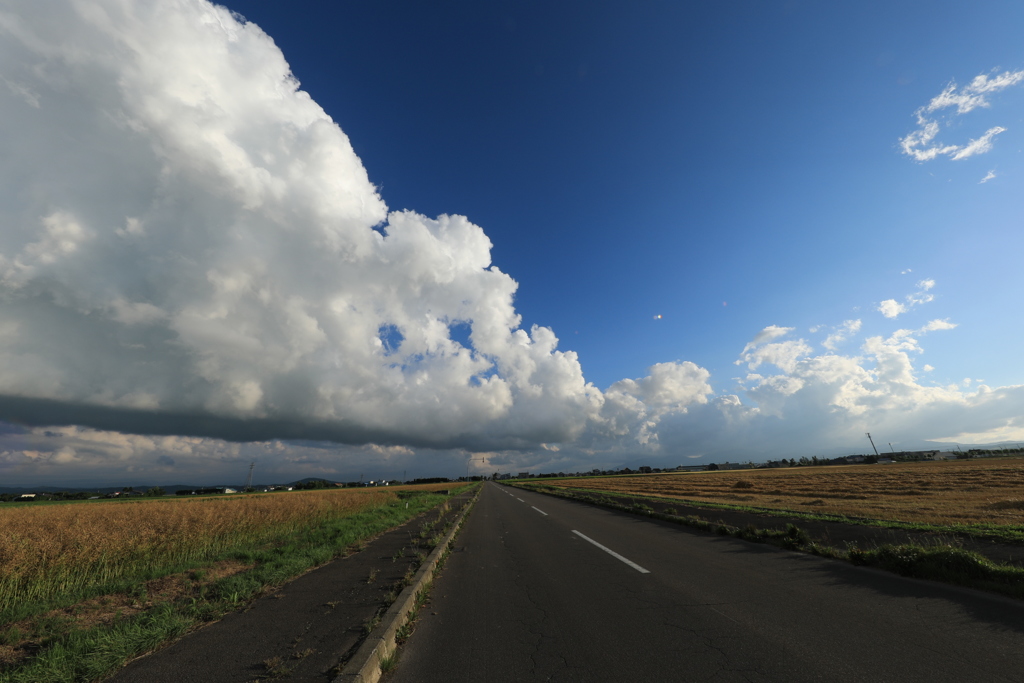 滝川滝の川付近