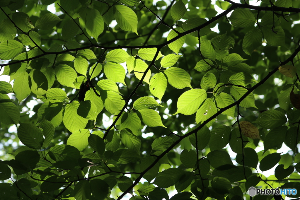 20160828225406_IMG_6922