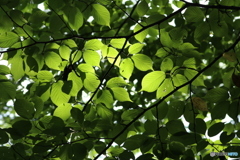 20160828225406_IMG_6922