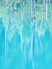 青い池