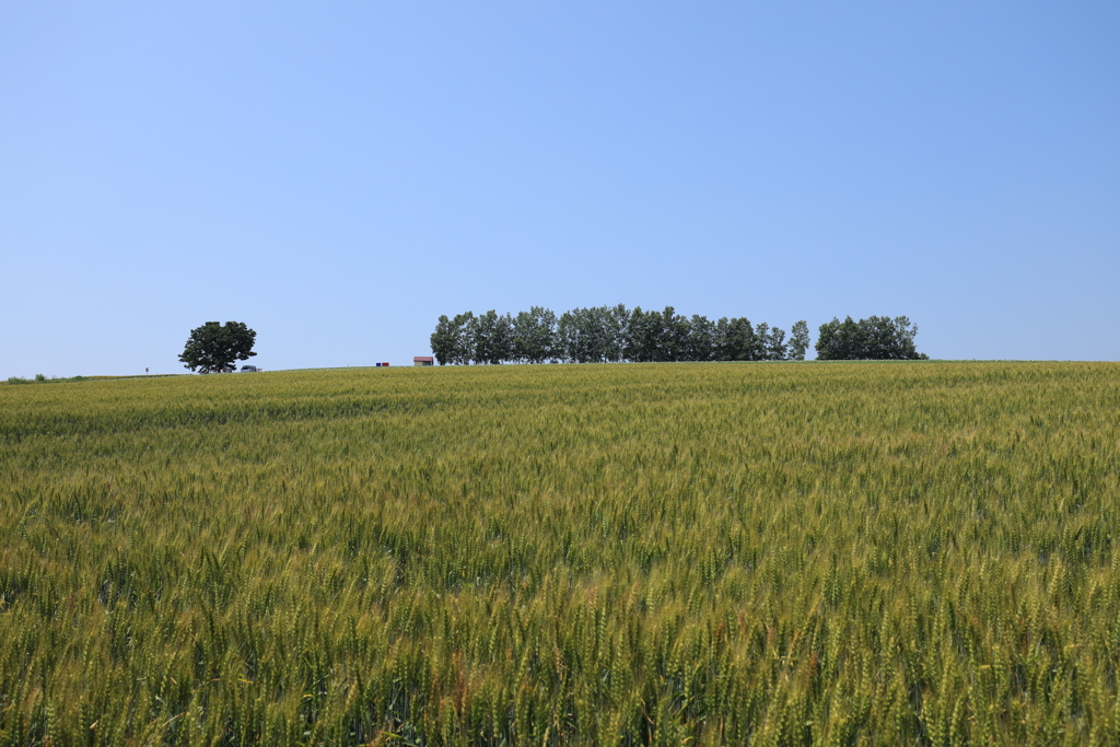 いつもの場所から