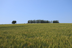 いつもの場所から