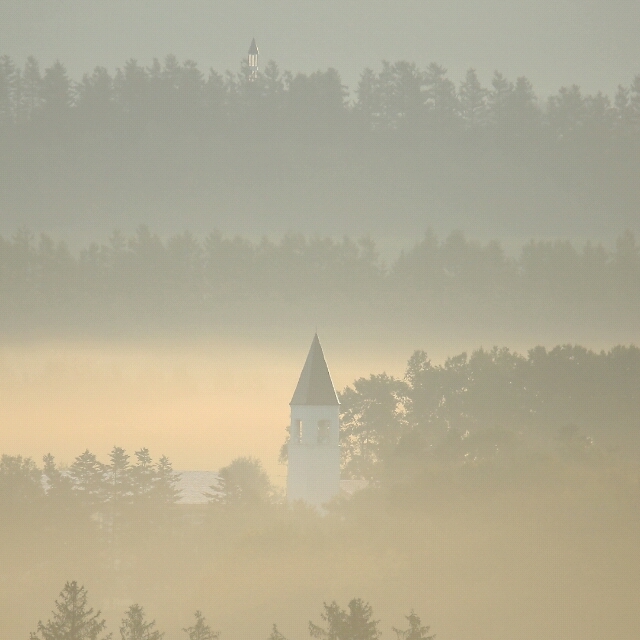 いい感じになって来ました。