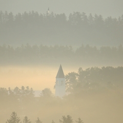 いい感じになって来ました。