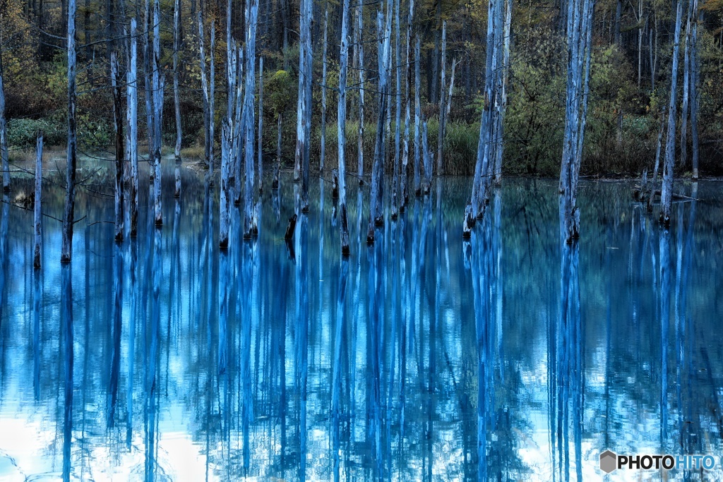 ライトアップの照明が設置されてました。