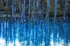 ライトアップの照明が設置されてました。