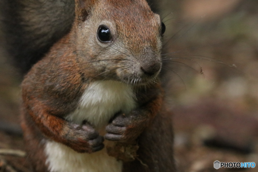 20160920225659_IMG_7334