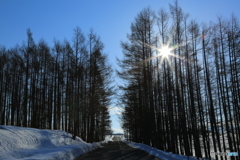 農道ストリート