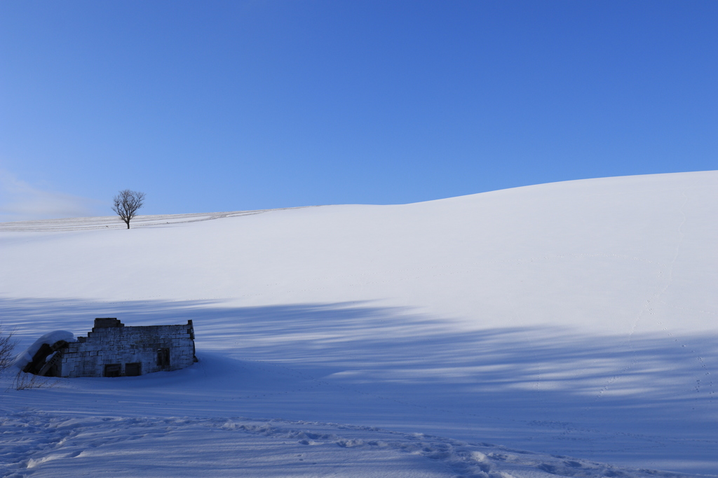 誰もいない美しさ。