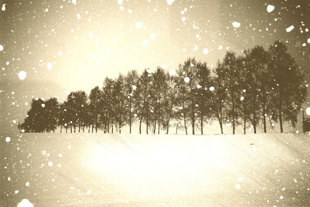 冬は 綺麗だけど 寒過ぎ！初夏来ても またすぐ冬！(笑)