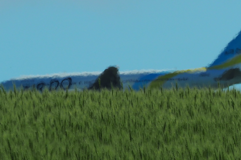 丘をかすめて飛ぶジェット機