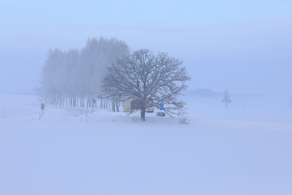 スリーショット