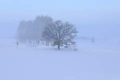 スリーショット