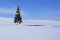 ツリーも最高！