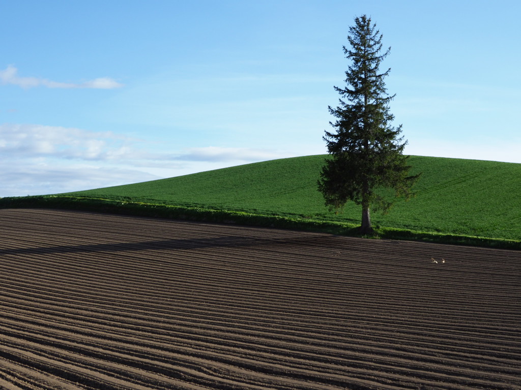 いい時期になって来た～