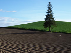 いい時期になって来た～