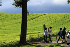 20160910081531_IMG_7063