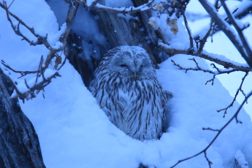 後ろにいた旦那さん 寒くて中に入ってるのかな～(笑)