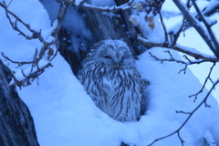 後ろにいた旦那さん 寒くて中に入ってるのかな～(笑)