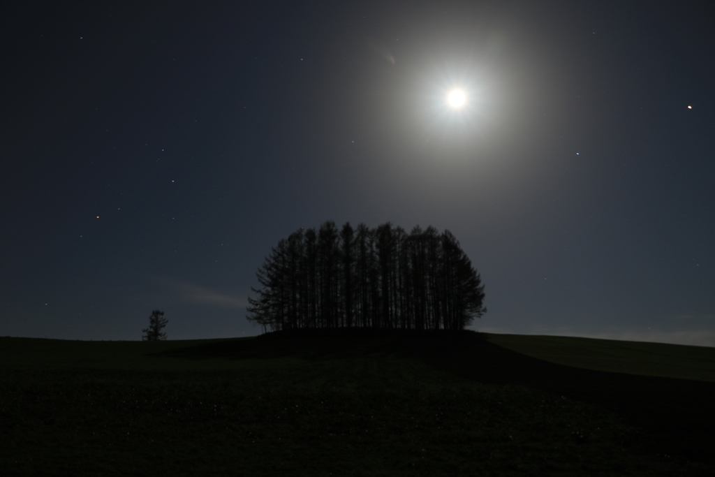 マイルドセブン