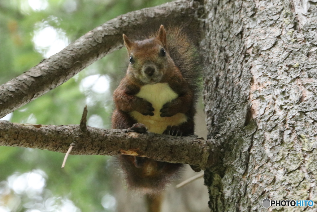 20160920230722_IMG_7346