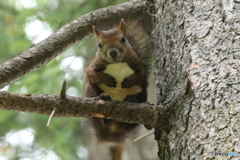 20160920230722_IMG_7346