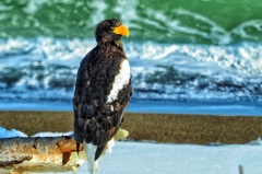 夕べ何食ったべ？